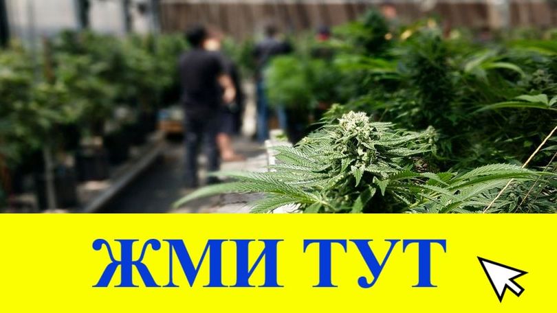 Купить наркотики в Ростове